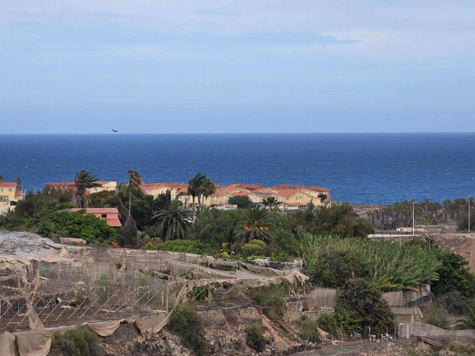 The Sealight Penthouse Apartment La Garita